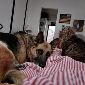 Meet your Posher, Dyeann